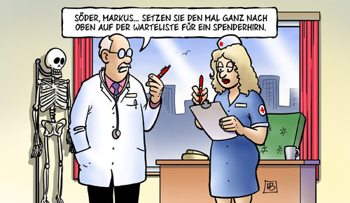 Spenderhirn Spenderhirn