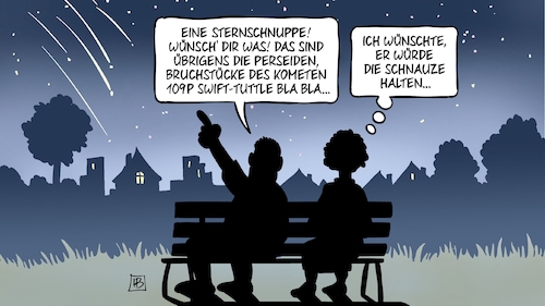 Sternschnuppen Sternschnuppen