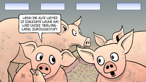 Cartoon: Tierwohl-Labelstufen (medium) by Harm Bengen tagged schweine,stall,alte,schlechte,laune,tierwohl,label,landwirtschaft,harm,bengen,cartoon,karikatur,schweine,stall,alte,schlechte,laune,tierwohl,label,landwirtschaft,harm,bengen,cartoon,karikatur