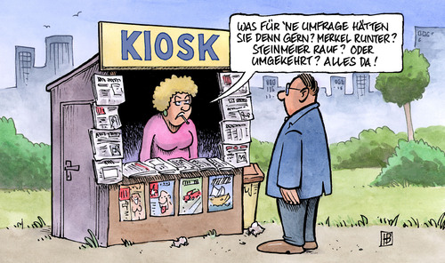 Umfragen Umfragen