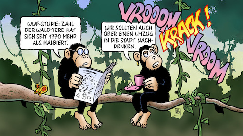 Waldtiere Waldtiere