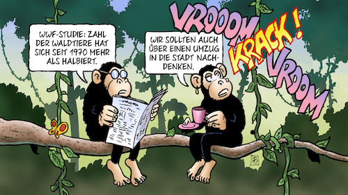 Cartoon: Waldtiere (medium) by Harm Bengen tagged wwf,studie,zahl,waldtiere,halbiert,umzug,stadt,schimpansen,affen,umweltschutz,umweltzerstörung,urwald,harm,bengen,cartoon,karikatur,wwf,studie,zahl,waldtiere,halbiert,umzug,stadt,schimpansen,affen,umweltschutz,umweltzerstörung,urwald,harm,bengen,cartoon,karikatur