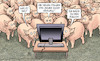 Cartoon: Bauer sucht Krawall (small) by Harm Bengen tagged bauer,sucht,krawall,schweine,stall,tv,bullen,bauern,proteste,nötigung,harm,bengen,cartoon,karikatur