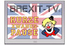 Brexit-TV