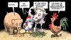 Cartoon: Dioxin (small) by Harm Bengen tagged dioxin,futtermittel,futter,gift,schwein,huhn,hahn,rind,kuh,ochse,aigner,ilse,landwirtschaft,landwirtschaftsministerin,verbraucherschutz,verbraucherschutzministerin,csu