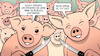 Cartoon: Ferkel (small) by Harm Bengen tagged ferkel,kastration,ohne,betäubung,kastrieren,schmerzen,schweinehaltung,zucht,massentierhaltung,landwirtschaft,harm,bengen,cartoon,karikatur