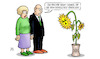 Cartoon: Grüner Stresstest (small) by Harm Bengen tagged grüner,stresstest,sonnenblume,atomkraft,akw,streckbetzireb,habeck,pflanze,welk,wirtschaft,gas,energie,krieg,ukraine,russland,harm,bengen,cartoon,karikatur