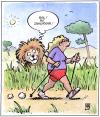 Cartoon: Nordic Zahnstocher (small) by Harm Bengen tagged nordic,walking,zahnstocher,löwe,sport,