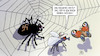 Cartoon: Rechtes Netz (small) by Harm Bengen tagged rechtes,netzwerk,nazis,rechtsextreme,spinne,fliege,schmetterling,agent,harm,bengen,cartoon,karikatur