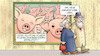 Cartoon: Schlachtwohl (small) by Harm Bengen tagged schlachtwohllabel,fleischindustrie,schlachtbetriebe,werkverträge,leiharbeiter,glückliche,fleischarbeiter,werbung,zaun,susemil,corona,coronavirus,ansteckung,pandemie,epidemie,krankheit,schaden,harm,bengen,cartoon,karikatur