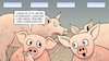 Cartoon: Tierwohl-Labelstufen (small) by Harm Bengen tagged schweine,stall,alte,schlechte,laune,tierwohl,label,landwirtschaft,harm,bengen,cartoon,karikatur