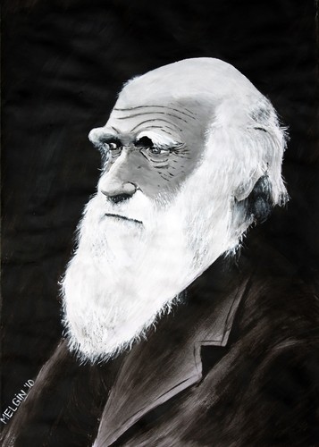 Cartoon: Darwin (medium) by MelgiN tagged darwin