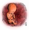 Cartoon: Baby Suicide (small) by MelgiN tagged baby,suicide,cartoon