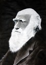 Cartoon: Darwin (small) by MelgiN tagged darwin