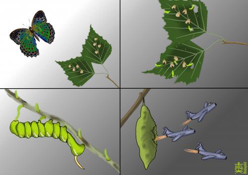 Cartoon: Metamorphosis (medium) by Dadaphil tagged metamorphosis,airplane,butterfly,caterpillar,parasites