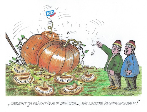 AfD im Aufwind