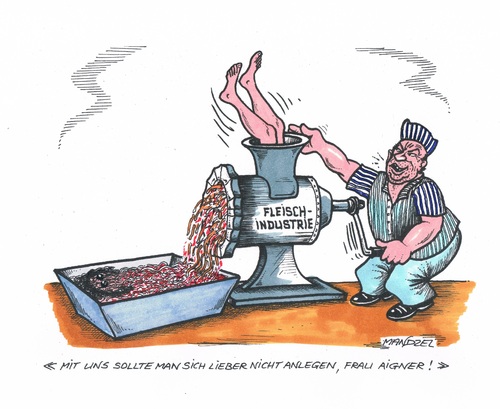 Cartoon: Aigner im Fleischwolf (medium) by mandzel tagged fleischskandal,aigner,hackfleisch,fleischwolf,fleischskandal,aigner,hackfleisch,fleischwolf