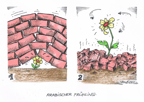 Cartoon: Arabischer Frühling (medium) by mandzel tagged ägypten,frühling,zerstörung,chaos,ägypten,frühling,zerstörung,chaos