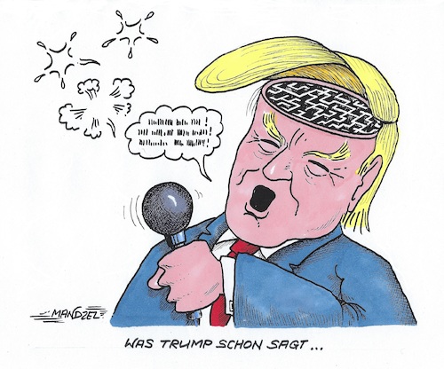 Cartoon: Blah-Blah (medium) by mandzel tagged trump,usa,geheimdienst,putin,wahlhilfe,kritik,blah,trump,usa,geheimdienst,putin,wahlhilfe,kritik