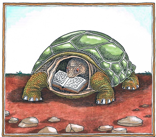 Cartoon: Buchmesse (medium) by mandzel tagged buchmesse,schildkröte,buch
