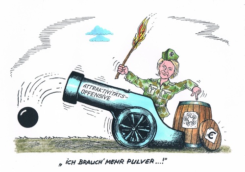 Bundeswehrreform Bundeswehrreform