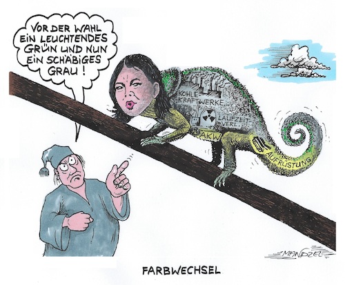 Chamäleon Chamäleon