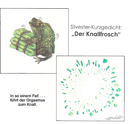 Das letzte Böllern Das letzte Böllern