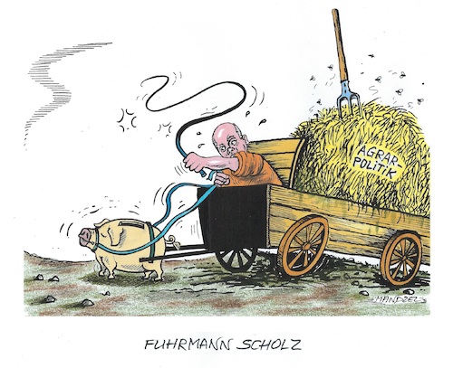 Ein Haufen Mist Ein Haufen Mist