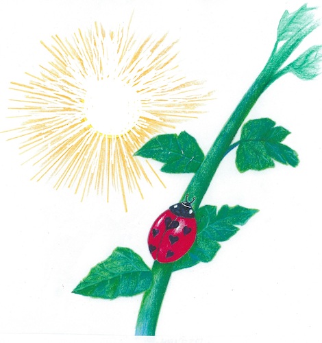 Frühlingsgefühle Frühlingsgefühle