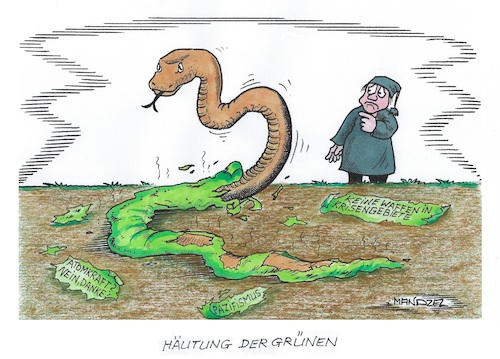 Grundsätze der Grünen Grundsätze der Grünen