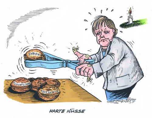 Harte Nüsse Harte Nüsse