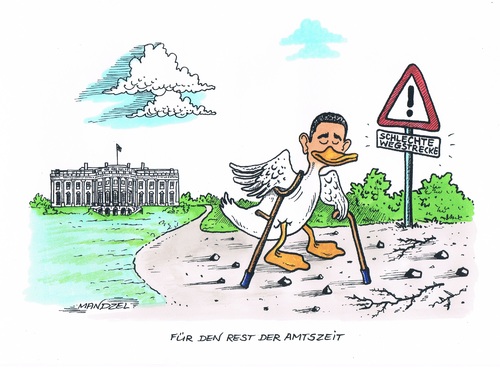 Cartoon: Kongresswahl in USA (medium) by mandzel tagged kongresswahl,usa,obama,ente,kongresswahl,usa,obama,ente