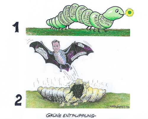 Metamorphose der Grünen Metamorphose der Grünen