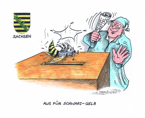 Cartoon: Sachsenwahl (medium) by mandzel tagged sachsen,wahl,sachsen,wahl