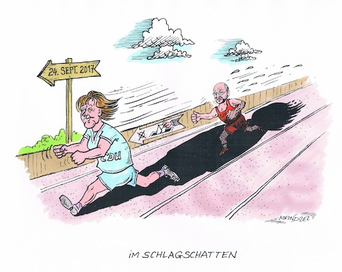 Schulz im Schatten Schulz im Schatten