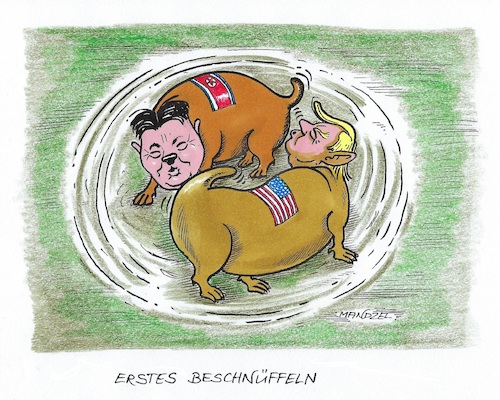 Cartoon: Trump und Kim treffen sich (medium) by mandzel tagged trump,kim,singapur,gespräche,abtasten,abrüstung,beschnüffeln,atombomben,raketen,trump,kim,singapur,gespräche,abtasten,abrüstung,beschnüffeln,atombomben,raketen