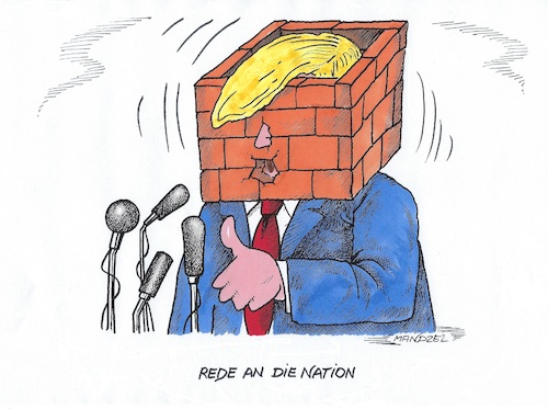 Trumps Rede an die Nation