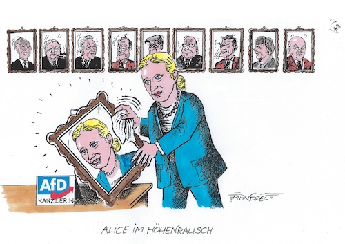 Weidel will kandidieren Weidel will kandidieren