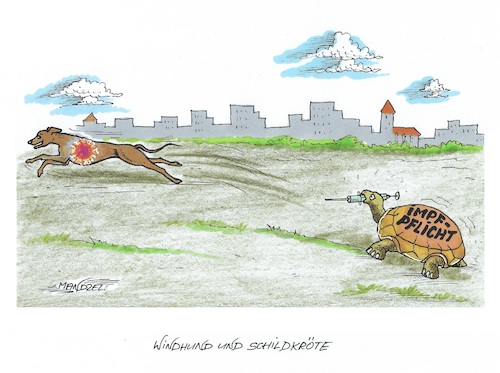 Wettlauf Wettlauf