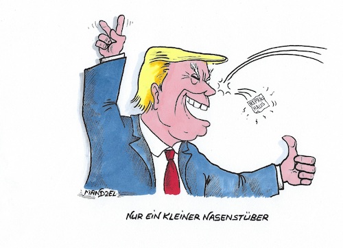 Cartoon: Winziger Denkzettel (medium) by mandzel tagged usa,zwischenwahlen,repräsentantenhaus,senat,trump,usa,zwischenwahlen,repräsentantenhaus,senat,trump