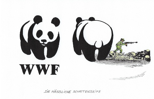 WWF im Fokus WWF im Fokus