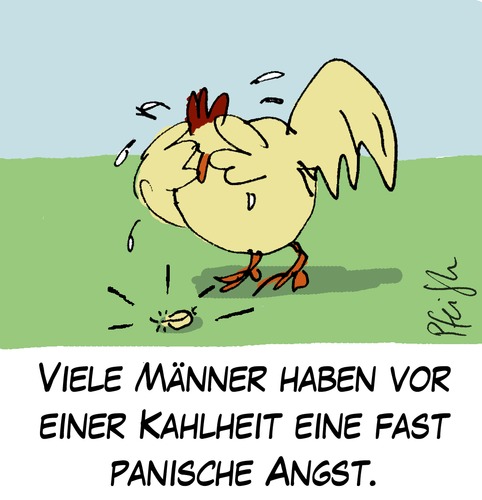 Cartoon: Kahlheit (medium) by Andreas Pfeifle tagged hahn,glatze,kahl,panik,trauer,feder,haarausfall