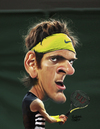 Cartoon: Juan Martin Del Potro (small) by rocksaw tagged juan martin del potro