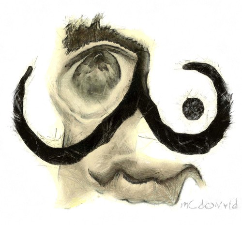 Cartoon: SALVADOR DALI (medium) by allan mcdonald tagged dali