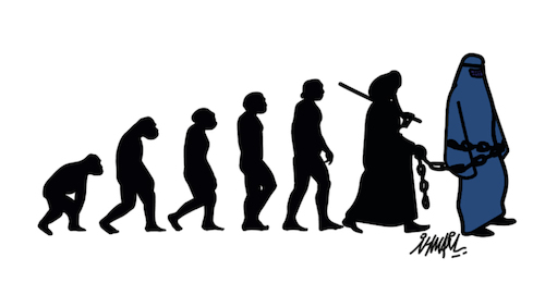 Cartoon: Evolution (medium) by ismail dogan tagged afghan,woman