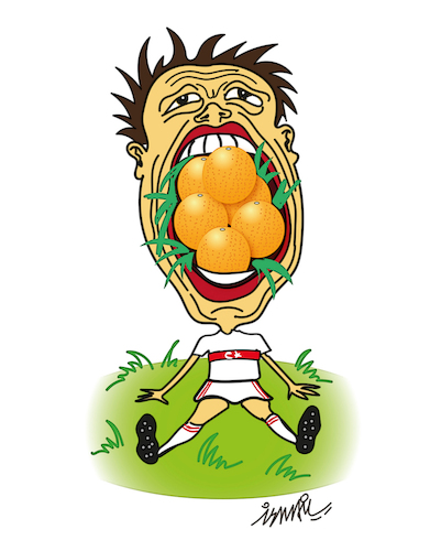 Cartoon: Turkey Netherlands (medium) by ismail dogan tagged world,cup,qualification