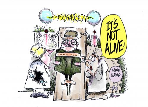 Cartoon: AL FRANKEN (medium) by barbeefish tagged enough