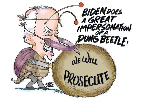 Cartoon: BUSH HATE (medium) by barbeefish tagged joe,biden