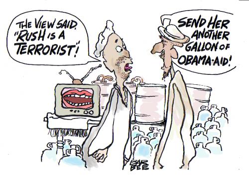 Cartoon: NEW FROM THE VIEW (medium) by barbeefish tagged the,view