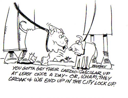 Cartoon: pet (medium) by barbeefish tagged what,dogs,say,